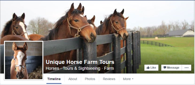 2016-04-19 - Unique Horse Farm Tours - Facebook